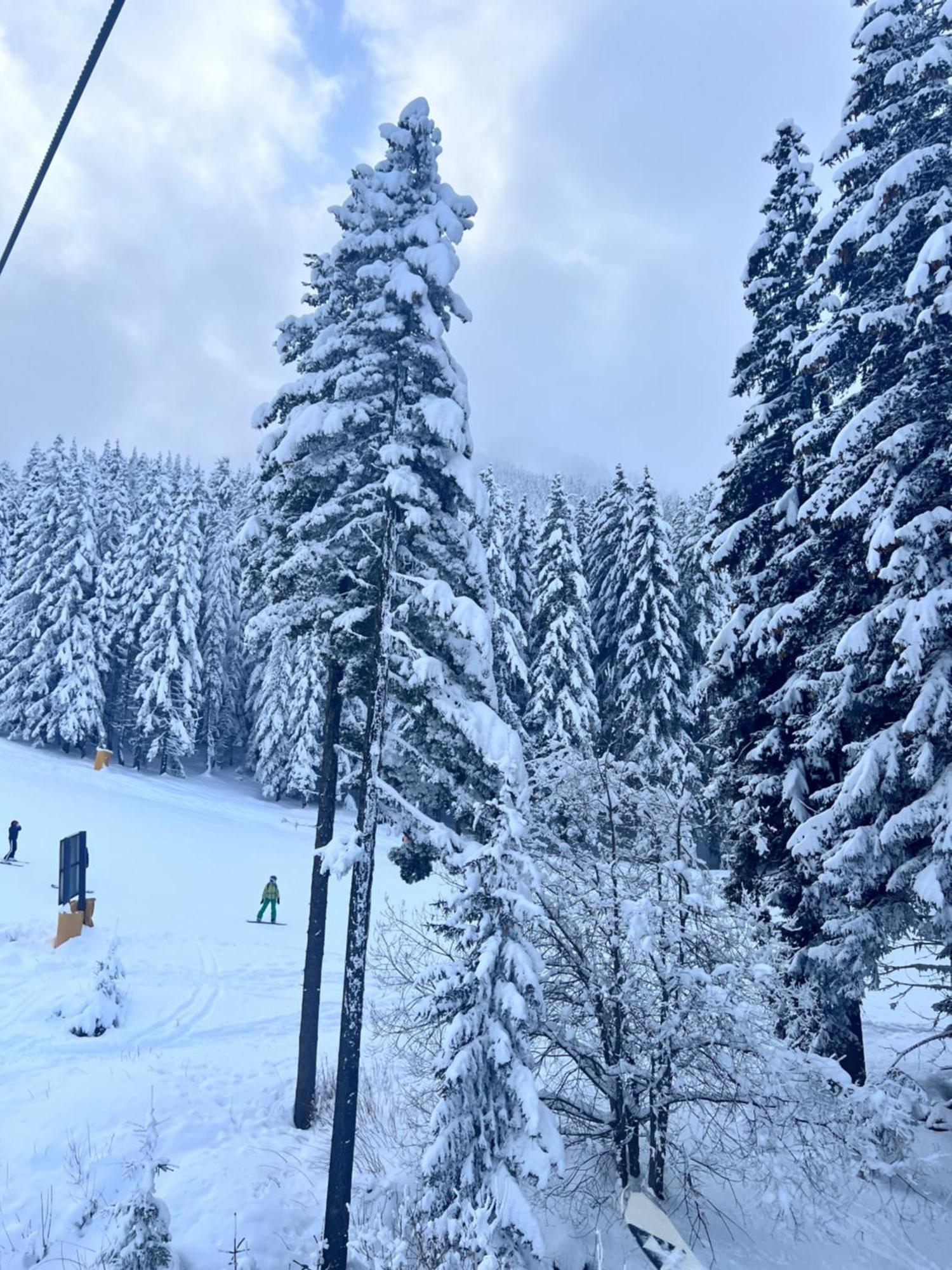 Dimitri Apartament Emerald , Near Gondola Banszko Kültér fotó