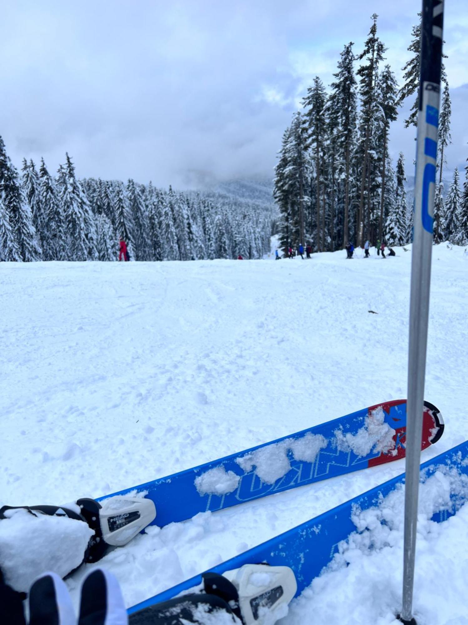Dimitri Apartament Emerald , Near Gondola Banszko Kültér fotó